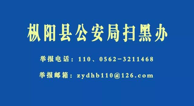 关注！“公交首班时间、路线调整”“村村通道路”等问题回复来了…