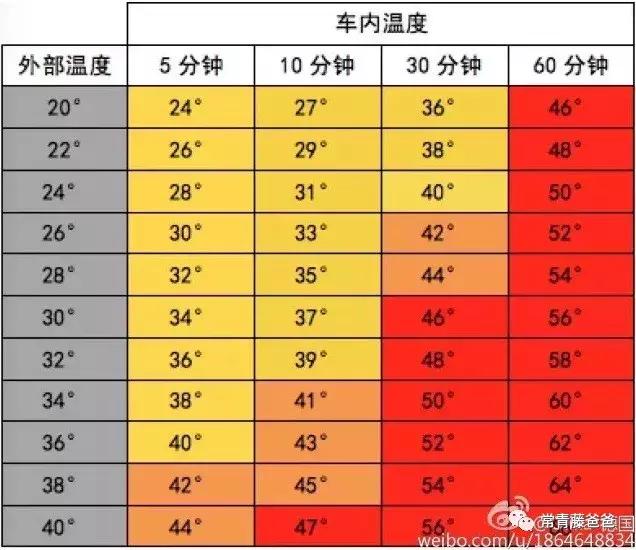 车内高温！莫让秋老虎伤害到你的心肝