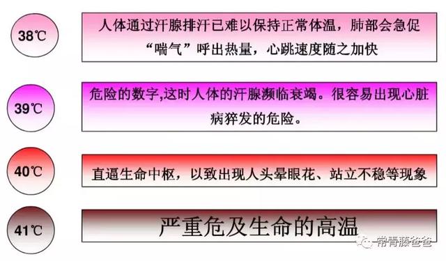 车内高温！莫让秋老虎伤害到你的心肝