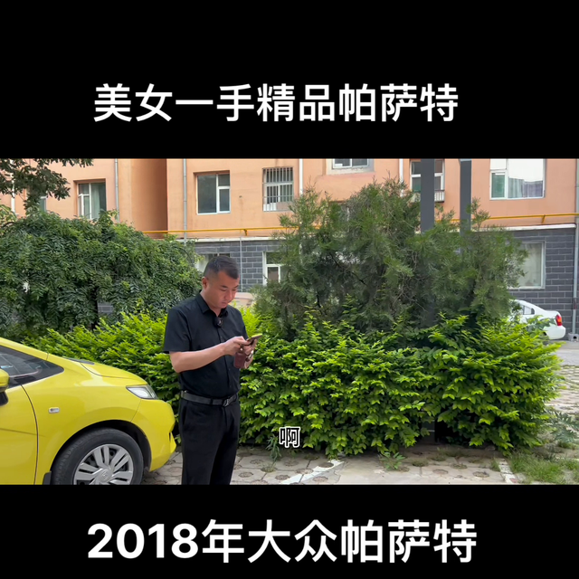 难得一遇的精品帕萨特，帮粉丝寄售！二手车原版原漆公里少...