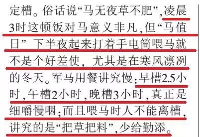 算一笔账，汽车究竟是如何战胜了骡马进而改变了战争的？