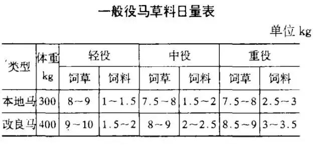 算一笔账，汽车究竟是如何战胜了骡马进而改变了战争的？