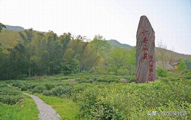 安徽最好喝的茶是哪个？你喜欢安徽的哪款茶叶