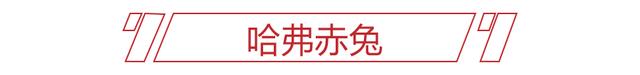 上海车展四款热门SUV车漆厚度大比拼，到底谁能笑到最后？