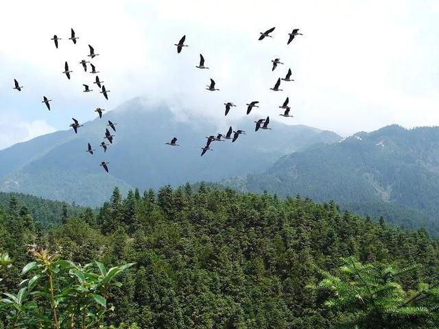 「本地」遂川县推出国庆“秋季精品旅游线路”，是时候带上亲朋好友去走走啦！