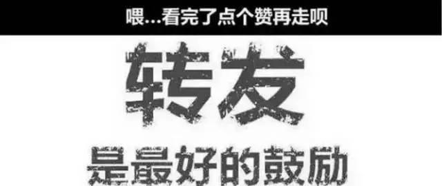 今年南充5大亿级产业将要腾飞……期待更好的家园