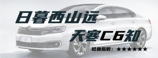 2023国内市场十大价格鲶鱼车（上）：秦PLUS、Model 3、LS6......