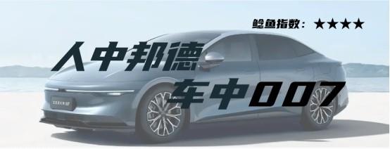 2023国内市场十大价格鲶鱼车（上）：秦PLUS、Model 3、LS6......