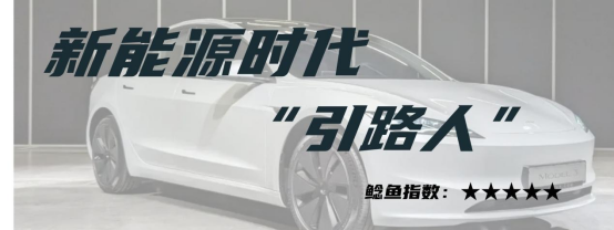 2023国内市场十大价格鲶鱼车（上）：秦PLUS、Model 3、LS6......