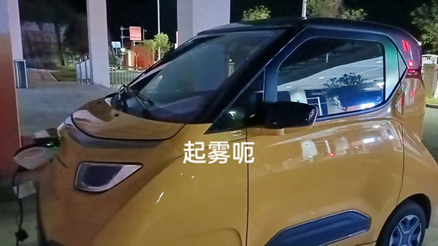 两个忠告：第一不要轻易买电车，第二，太某洋保险不能买