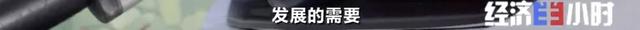 电动汽车将变“充电宝”，能充电也能放电？！还能赚钱？