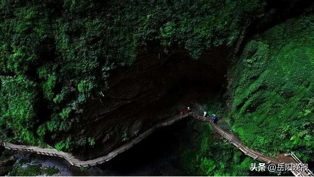 重庆⇋岳阳⇋泉州！开航时间就在…