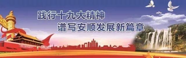 调整部分公交车、出租车至安顺西客运枢纽站（临时）运营