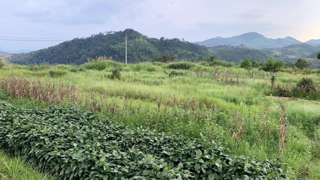 吉利新能源汽车项目落户龙泉 原来这里不只有青瓷和宝剑