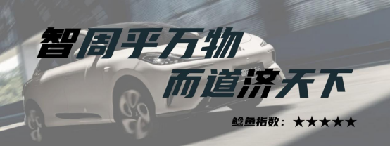 2023国内市场十大价格鲶鱼车（上）：秦PLUS、Model 3、LS6......