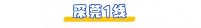 深圳⇌东莞12条公交线大合集！2块钱起步