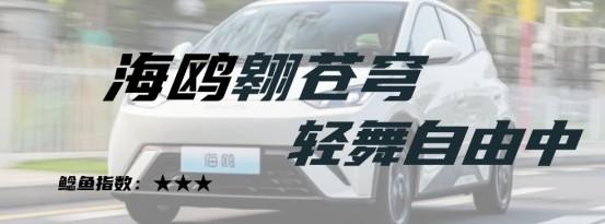 2023国内市场十大价格鲶鱼车（上）：秦PLUS、Model 3、LS6......