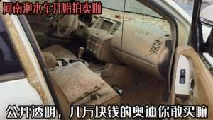 法拍汽车(河南泡水车开始拍卖啦，公开透明，几万块钱的奥迪你敢买嘛？)