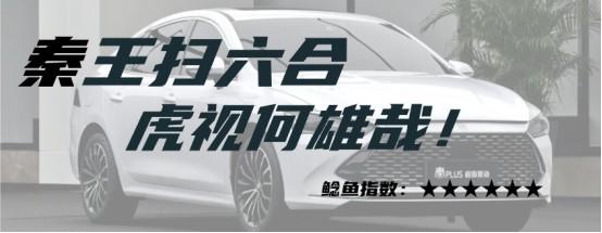 2023国内市场十大价格鲶鱼车（上）：秦PLUS、Model 3、LS6......