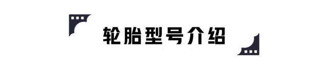 我们把6大品牌轮胎切开，内部结构对比结果揭晓