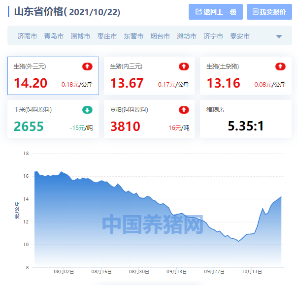 2021年10月22日山东省猪价行情一览：枣庄涨到每公斤17元了