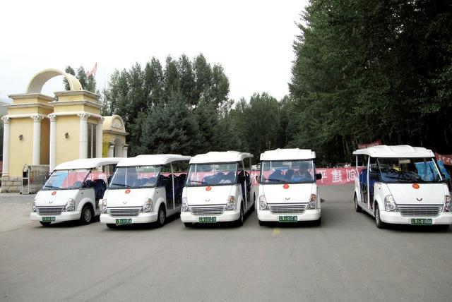 林立五菱威威系列燃油观光车WALQ5080：开启畅游之旅