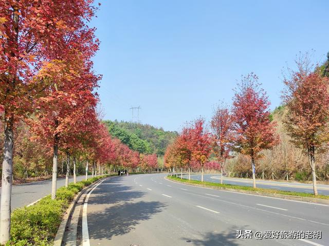 湖南除了武陵源这些大景区外，这5个地方也很美，不要门票人还少