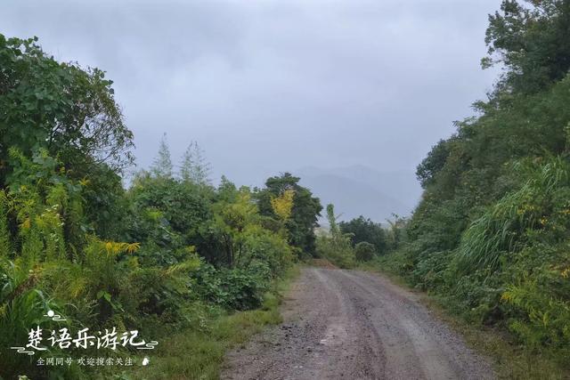 浙江宁波这座寺院很奇特，被称为“饭佛”，差点成为网红打卡地