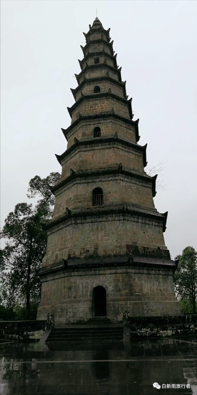 旅行者白新雨从重庆梁平区去四川大竹县，穿行在百里竹海美美哒