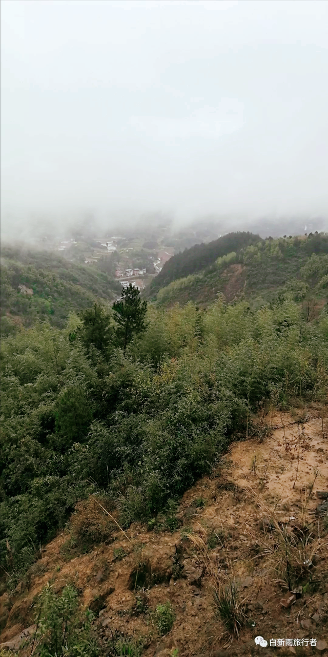 旅行者白新雨从重庆梁平区去四川大竹县，穿行在百里竹海美美哒