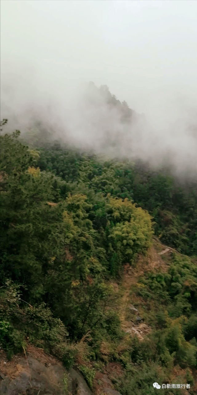 旅行者白新雨从重庆梁平区去四川大竹县，穿行在百里竹海美美哒