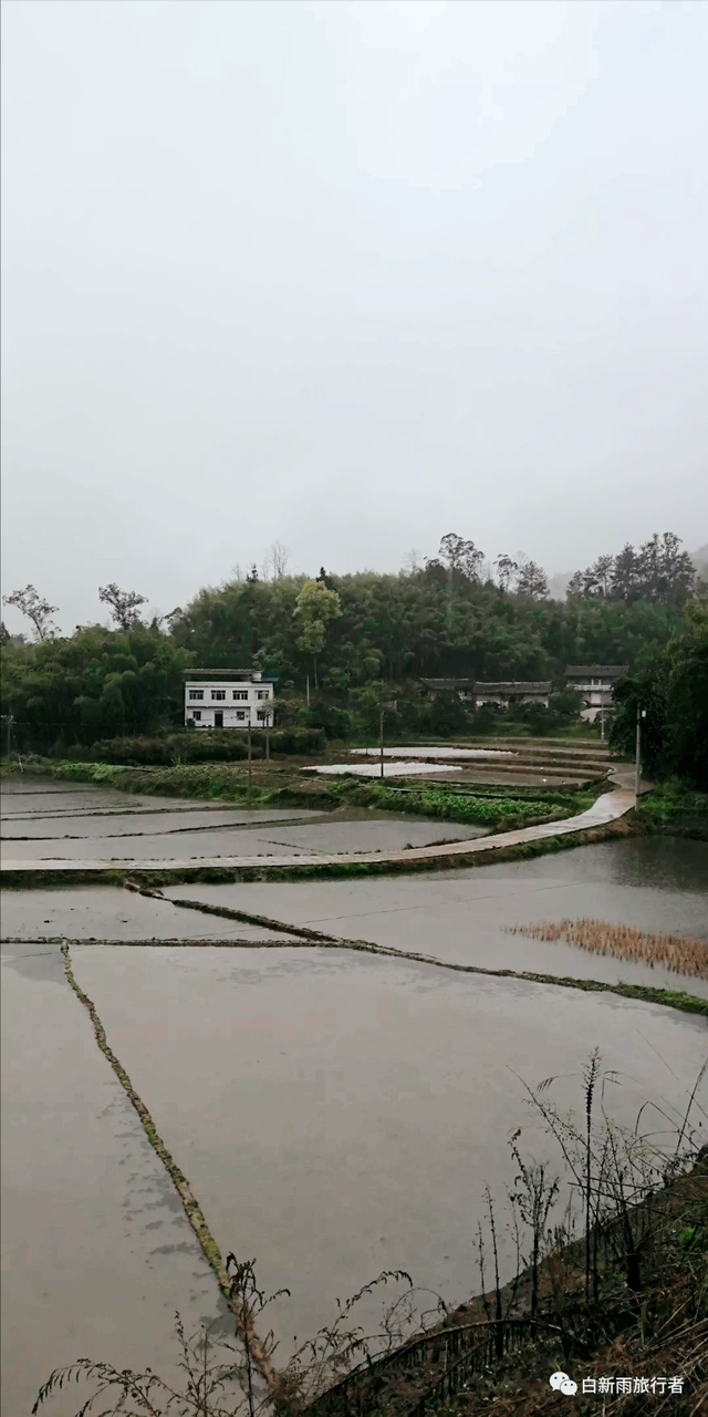 旅行者白新雨从重庆梁平区去四川大竹县，穿行在百里竹海美美哒