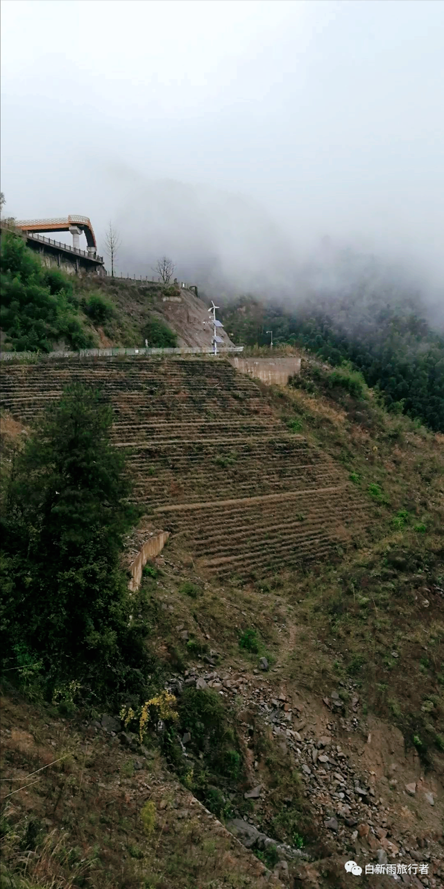 旅行者白新雨从重庆梁平区去四川大竹县，穿行在百里竹海美美哒