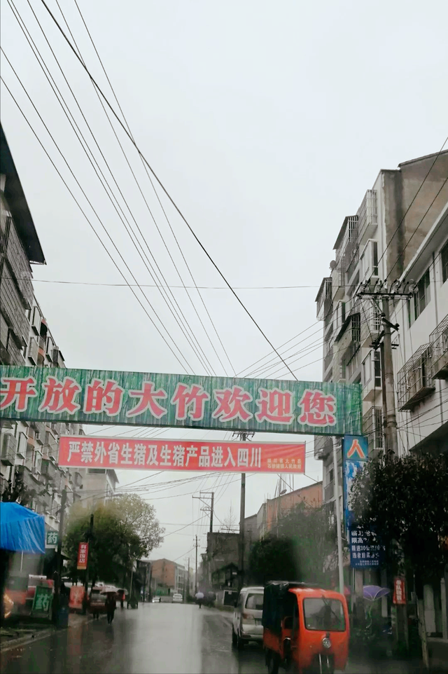 旅行者白新雨从重庆梁平区去四川大竹县，穿行在百里竹海美美哒