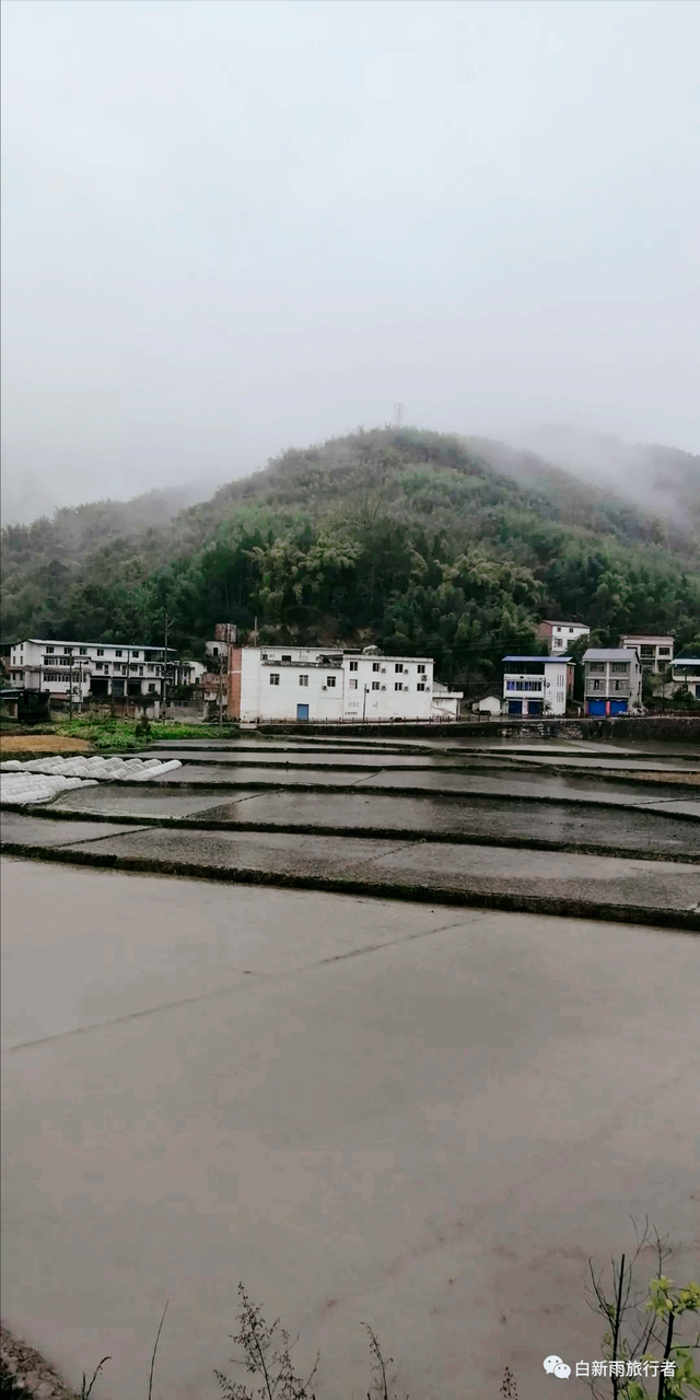 旅行者白新雨从重庆梁平区去四川大竹县，穿行在百里竹海美美哒