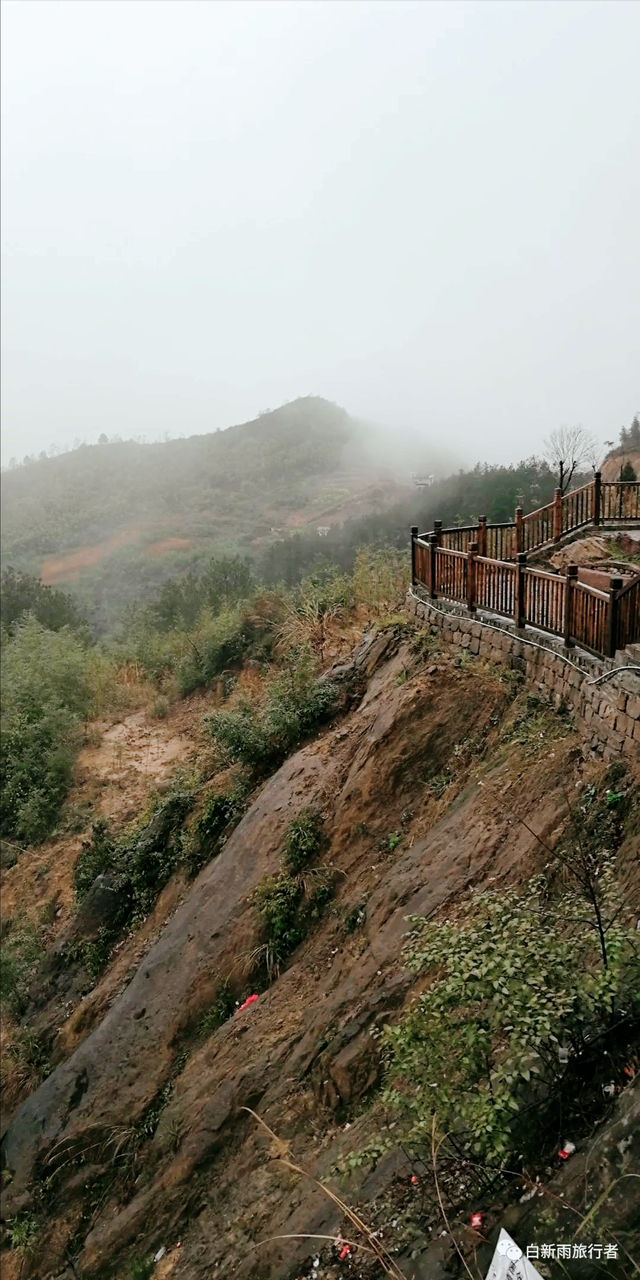 旅行者白新雨从重庆梁平区去四川大竹县，穿行在百里竹海美美哒