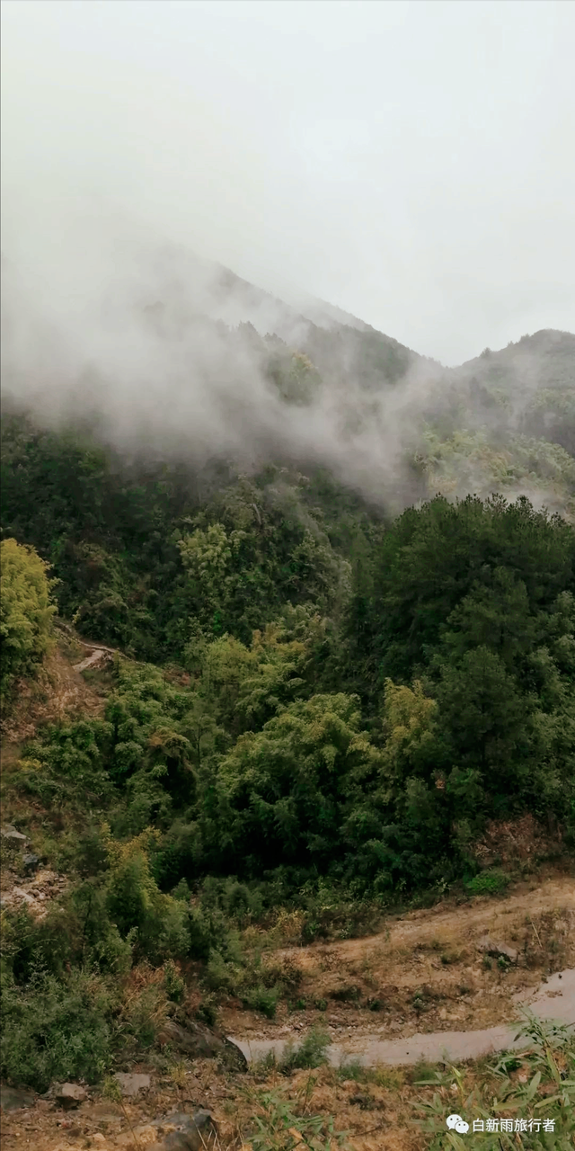 旅行者白新雨从重庆梁平区去四川大竹县，穿行在百里竹海美美哒