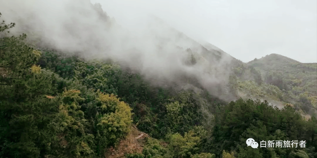 旅行者白新雨从重庆梁平区去四川大竹县，穿行在百里竹海美美哒