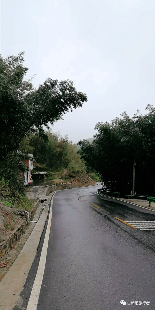 旅行者白新雨从重庆梁平区去四川大竹县，穿行在百里竹海美美哒