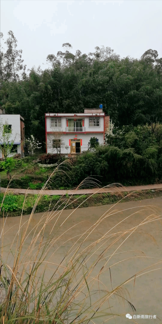 旅行者白新雨从重庆梁平区去四川大竹县，穿行在百里竹海美美哒