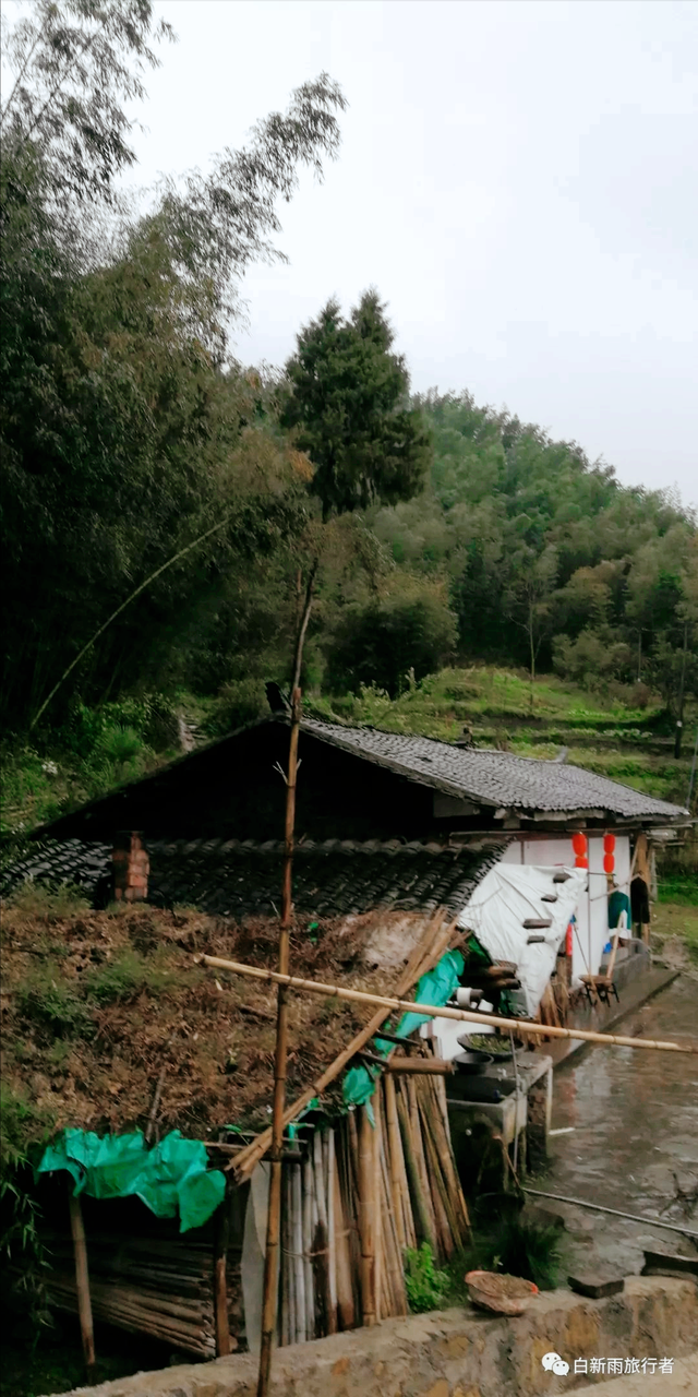 旅行者白新雨从重庆梁平区去四川大竹县，穿行在百里竹海美美哒