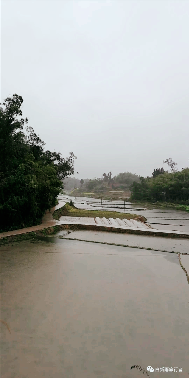 旅行者白新雨从重庆梁平区去四川大竹县，穿行在百里竹海美美哒