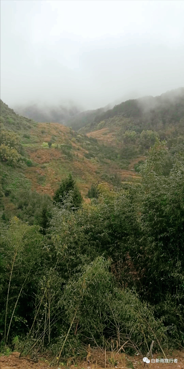 旅行者白新雨从重庆梁平区去四川大竹县，穿行在百里竹海美美哒