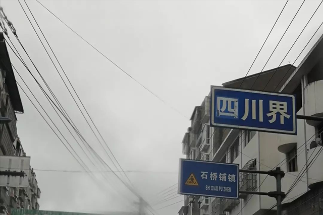 旅行者白新雨从重庆梁平区去四川大竹县，穿行在百里竹海美美哒