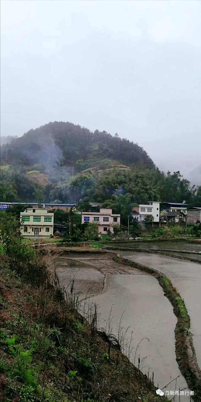 旅行者白新雨从重庆梁平区去四川大竹县，穿行在百里竹海美美哒