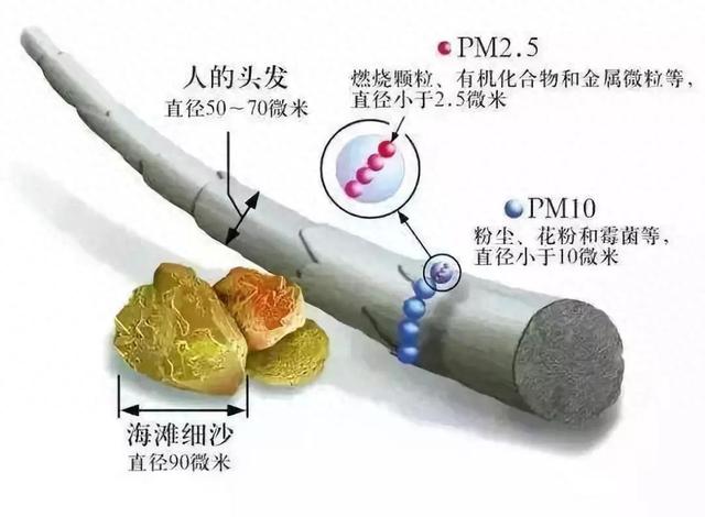 环保科普丨大气篇（1）PM2.5 和 PM10